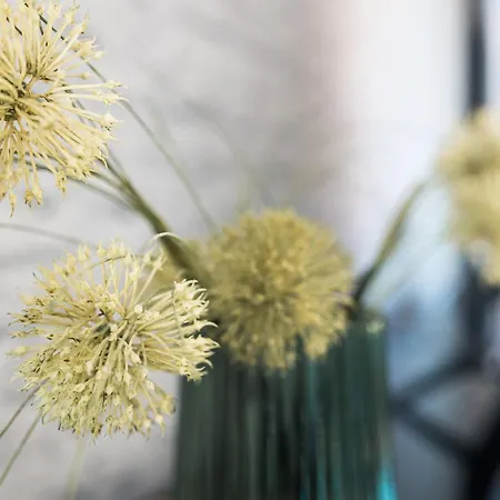 Modern Arctic Near The River アパート