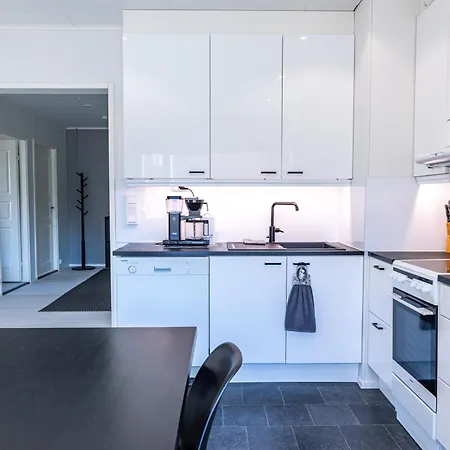 Modern Arctic Near The River